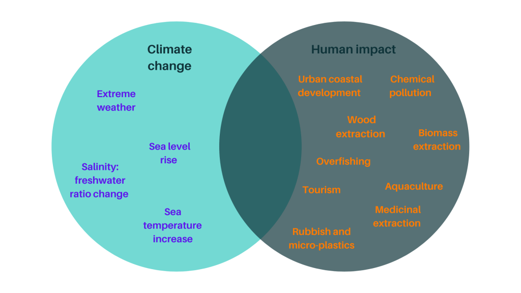 This image has an empty alt attribute; its file name is coral-reefs.png