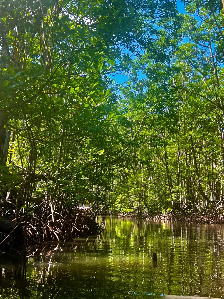 This image has an empty alt attribute; its file name is img_0706.jpeg